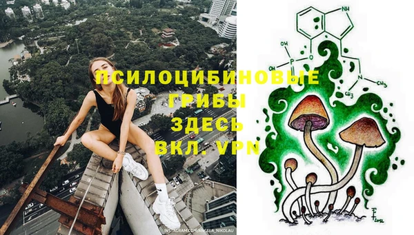 крисы Алексеевка