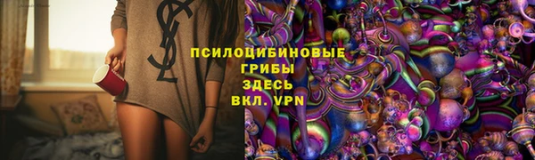 крисы Алексеевка